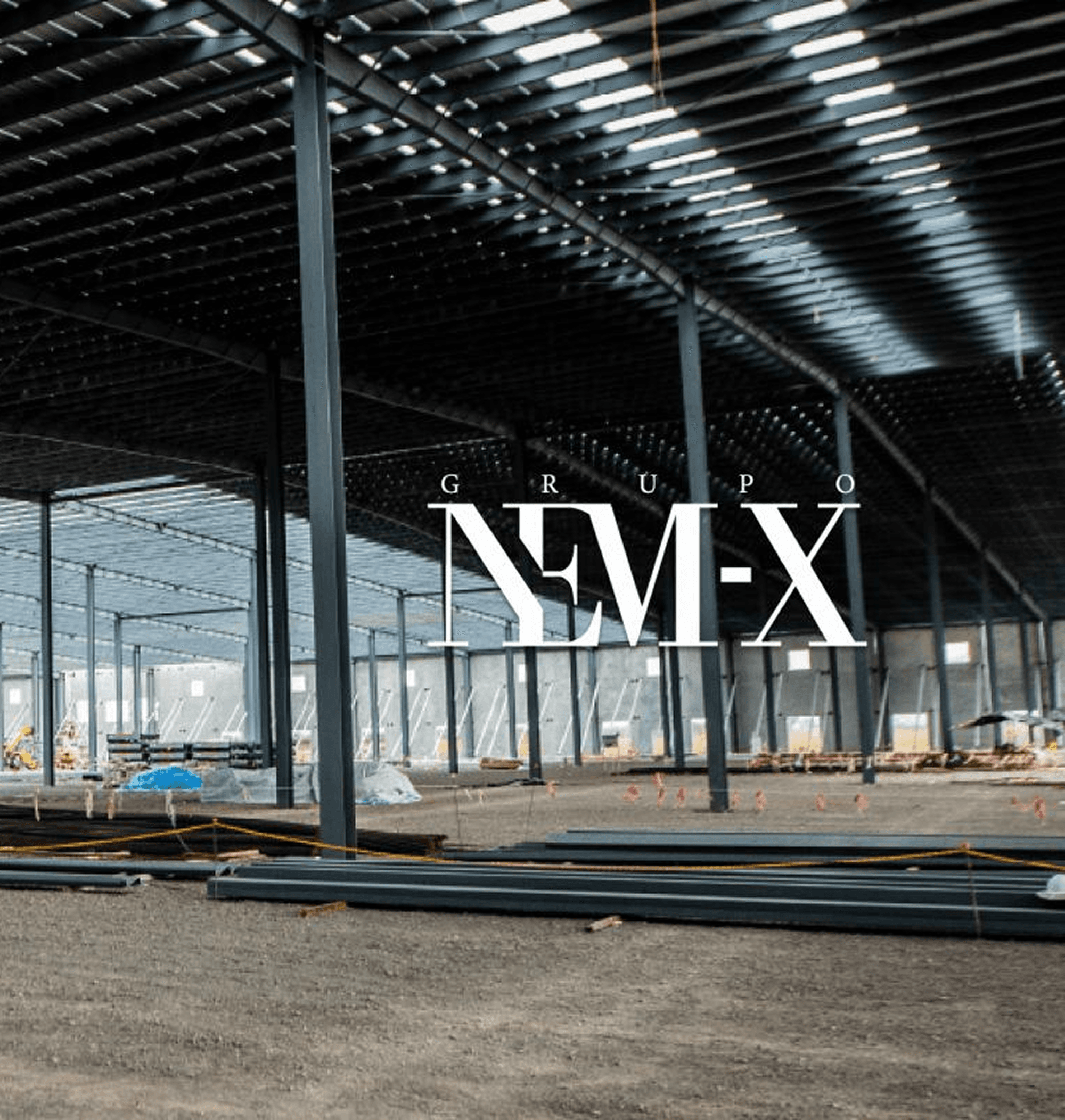 Vista aerea del complejo NEMX